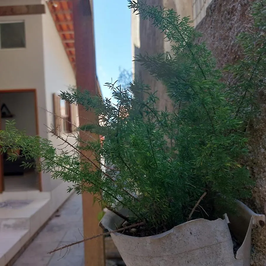 Muquem Eco House Apartment Florianopolis Brazil